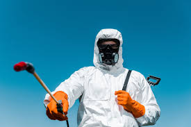 Best Termite Inspection and Treatment  in Rangely, CO